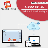 reporting portal in accounting software
