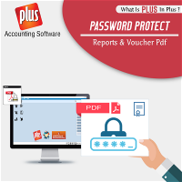 password protection in accounting software